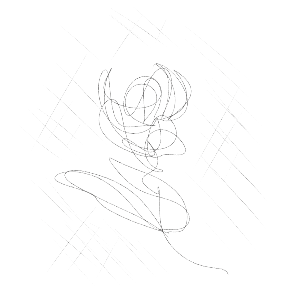 Drawing of a rose.